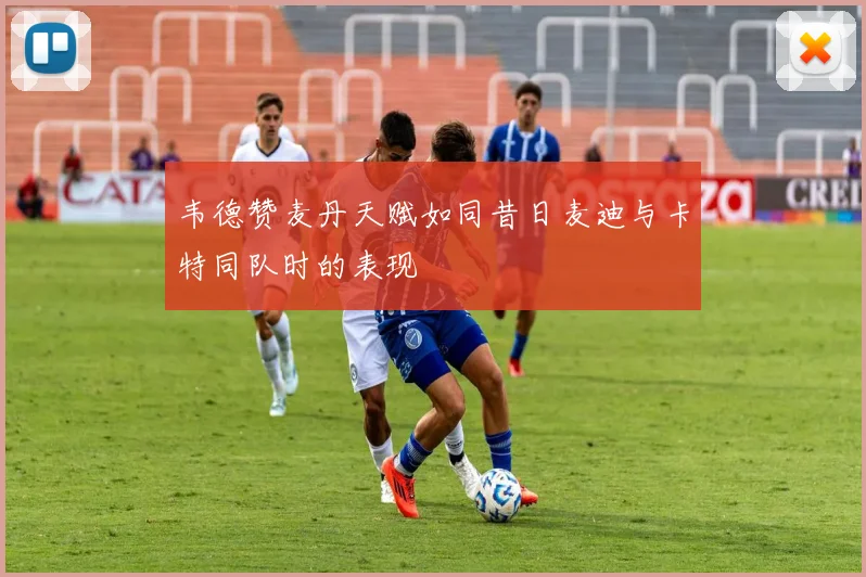 韦德赞麦丹天赋如同昔日麦迪与卡特同队时的表现