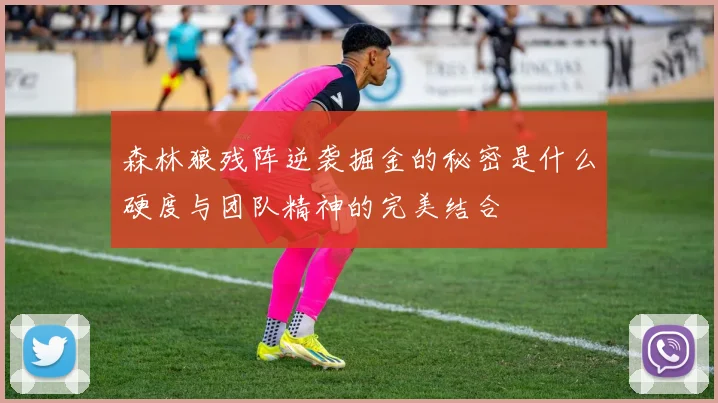 森林狼残阵逆袭掘金的秘密是什么硬度与团队精神的完美结合